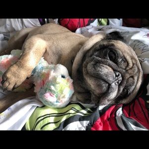 Meet your Posher, Jenny